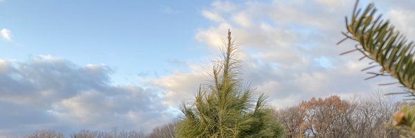 juwariia Profile Banner