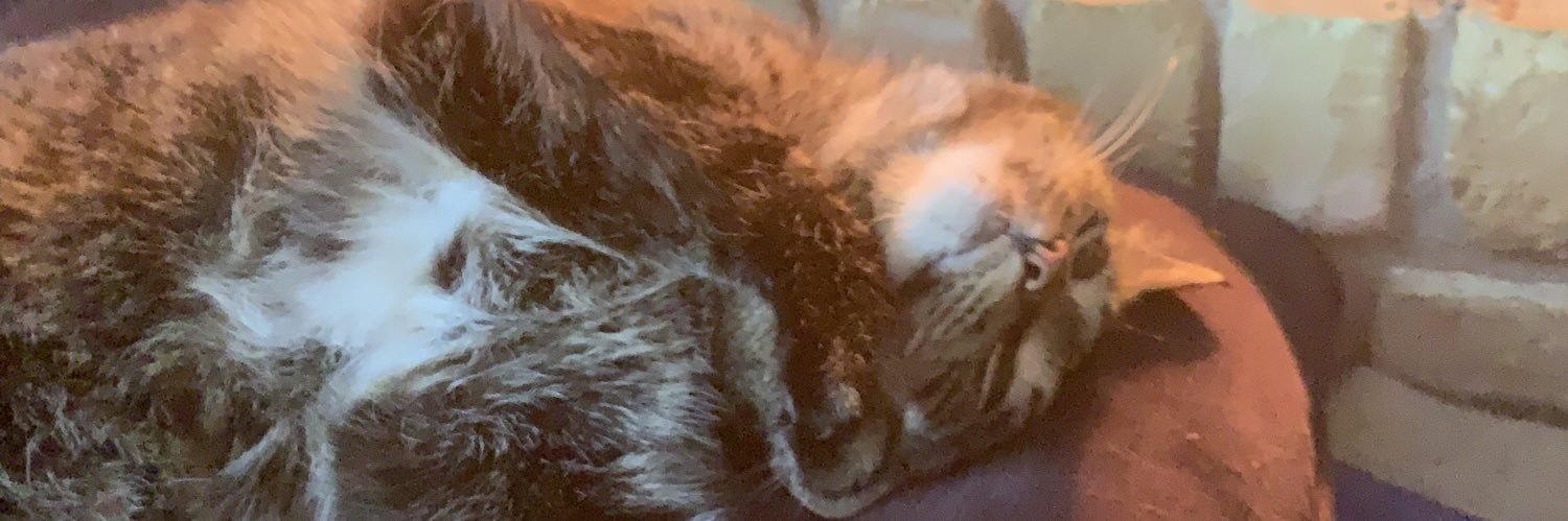 ColesDumbNotes's profile banner image