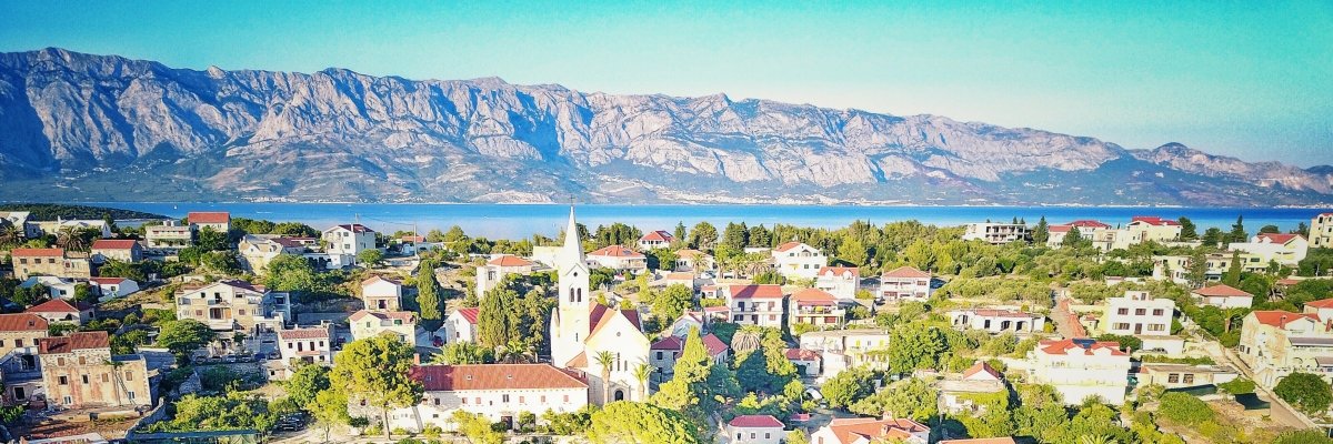 Bročki 4421's banner