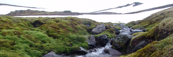 FilipeCVictoria Profile Banner