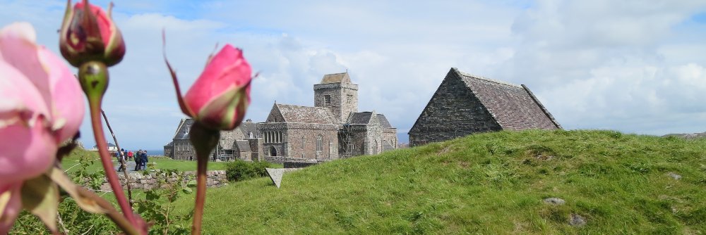 MacMorganne's profile banner image
