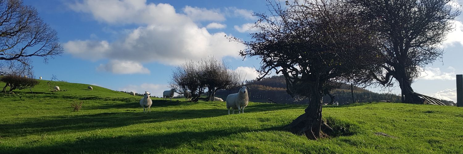WelshEarper's profile banner image