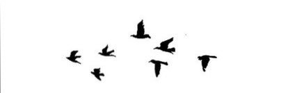 dalal_m96's profile banner image
