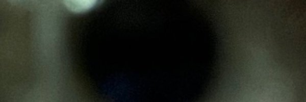 peiranasci Profile Banner