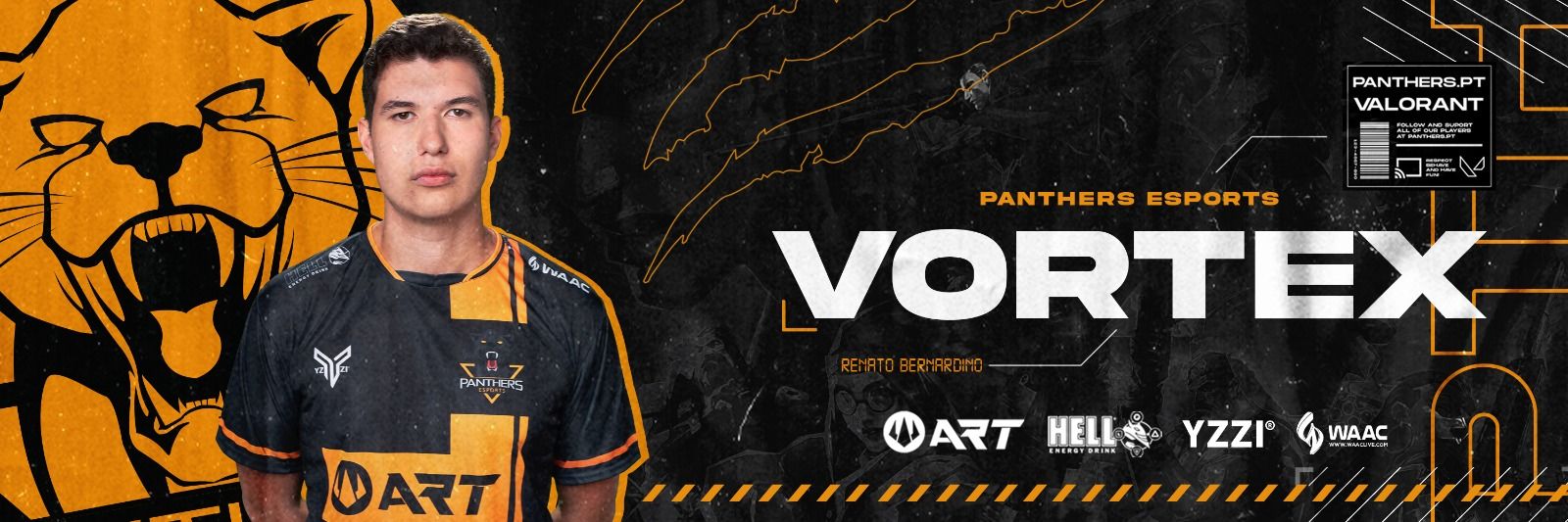 Vortex banner