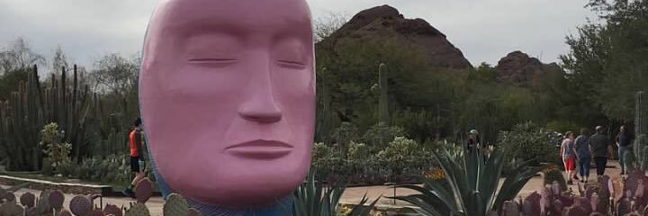 dina lopiccolo banner