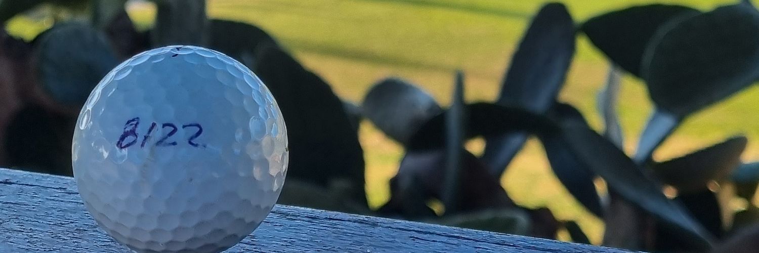 Hannibal ❤💛❤ banner