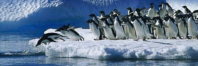 Laís, a dos Torneios banner