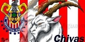OstosPadron's profile banner image