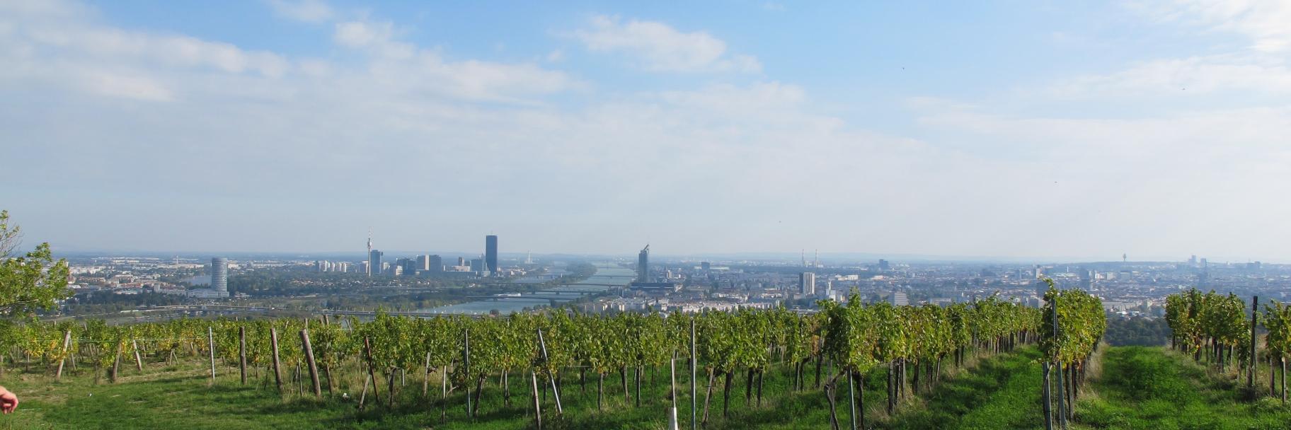 Julia Vierheilig banner