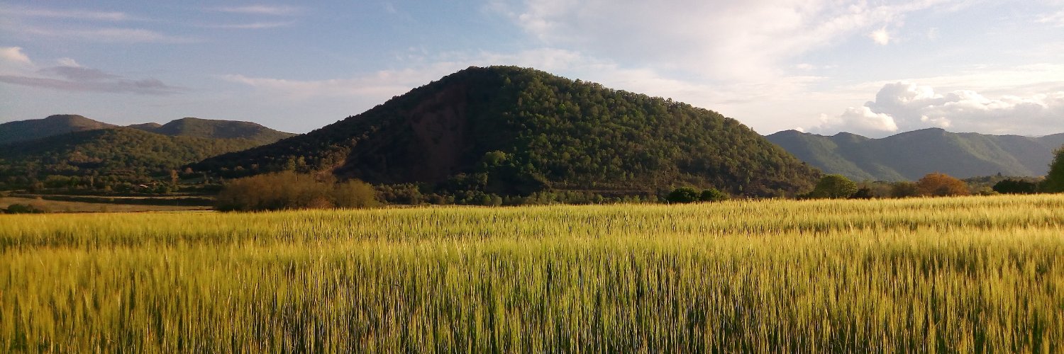 julia_dbpi's profile banner image