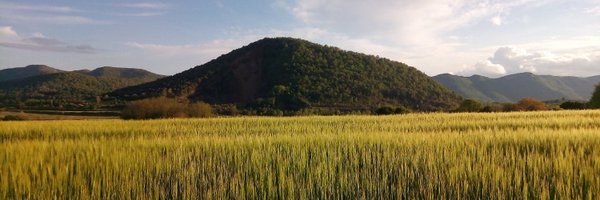 julia_dbpi Profile Banner