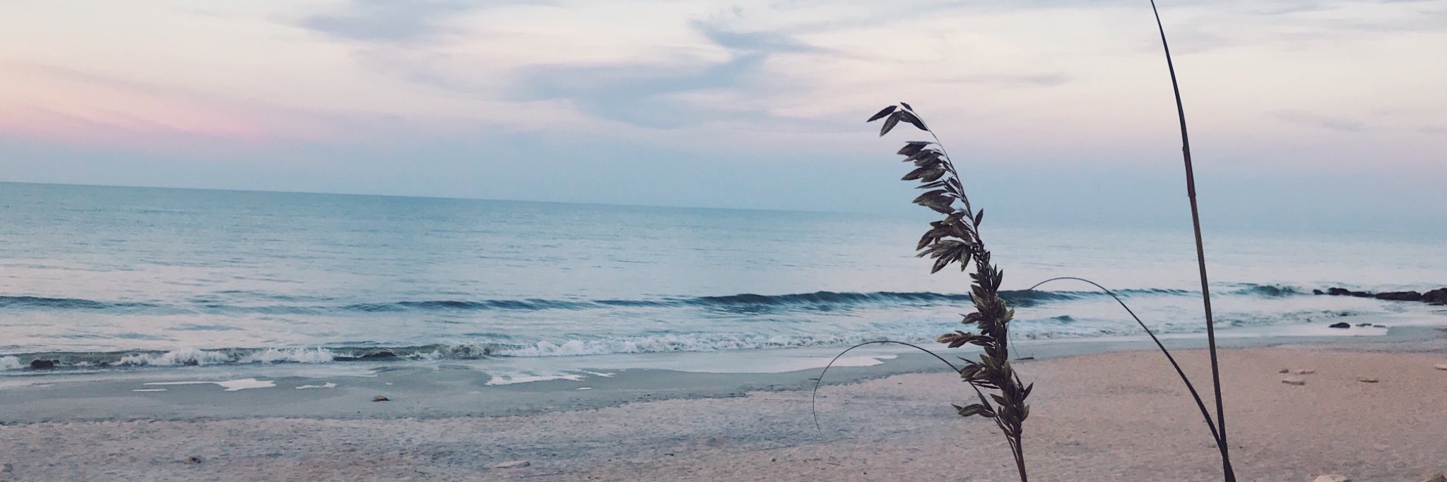 Meredith banner