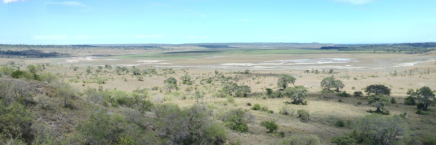 Amanda Picelli 🦎 💉🔬🧬 banner