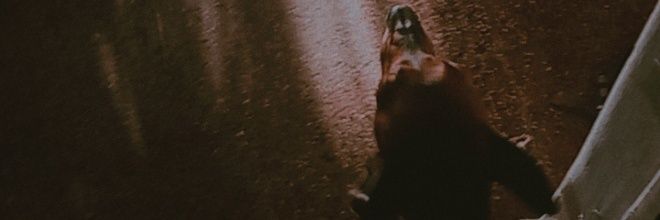 Fsabrina_I's profile banner image