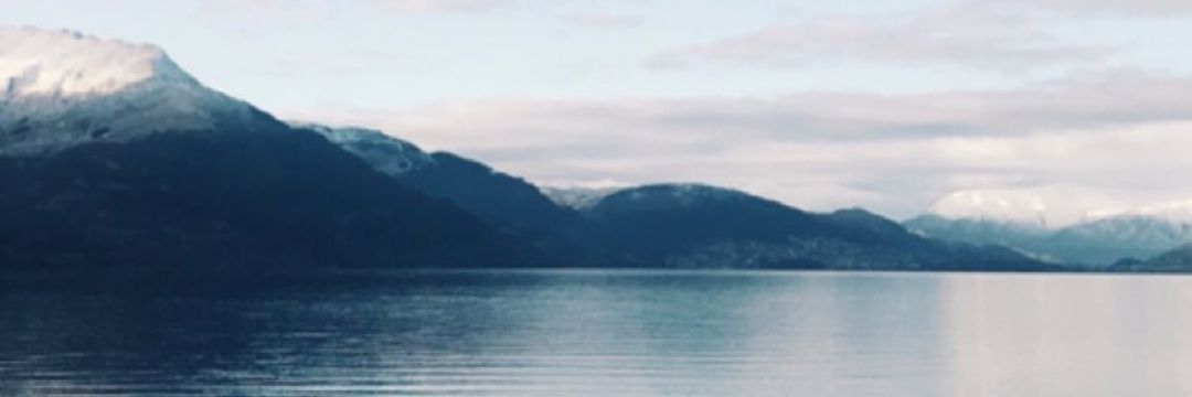annitautami's profile banner image
