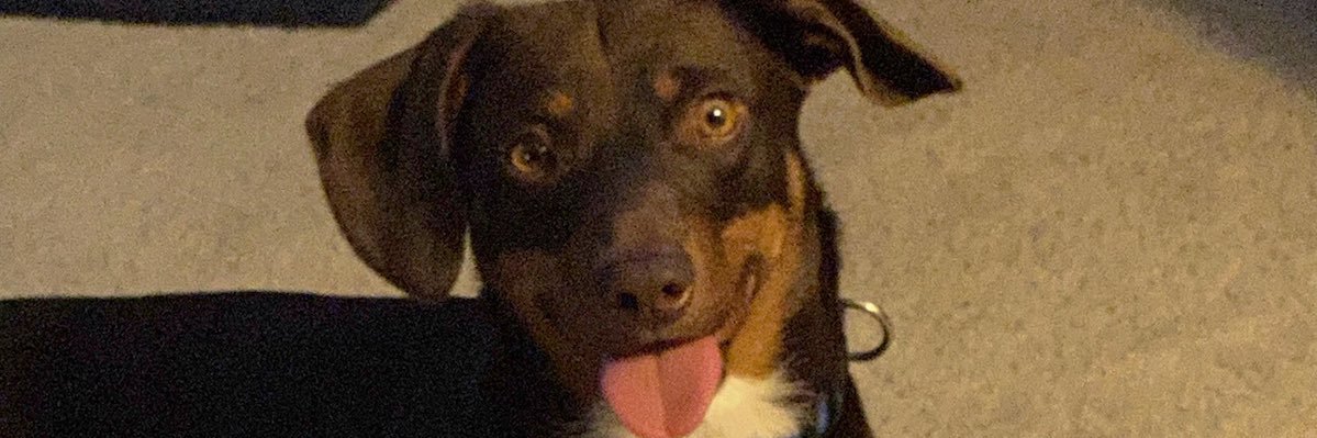 JaydenMorris11's profile banner image