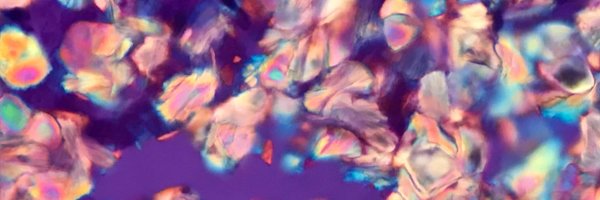 VirginiaWalley Profile Banner