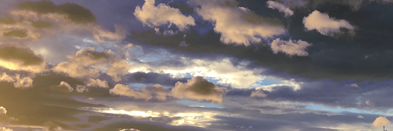 ppl_eq_sht's profile banner image