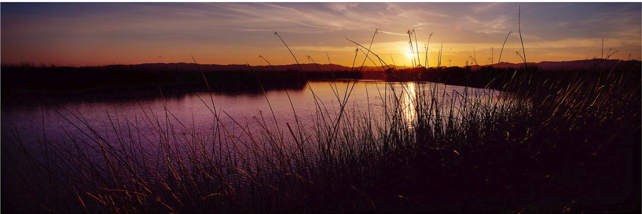 No Tunnel! Save The Delta! 💧 banner