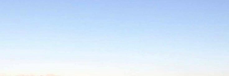 Beem🐱 banner