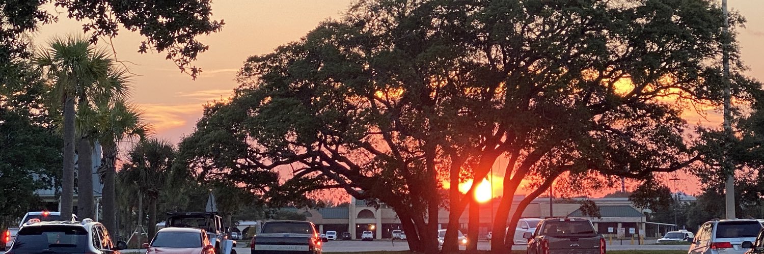 emilydestin's profile banner image