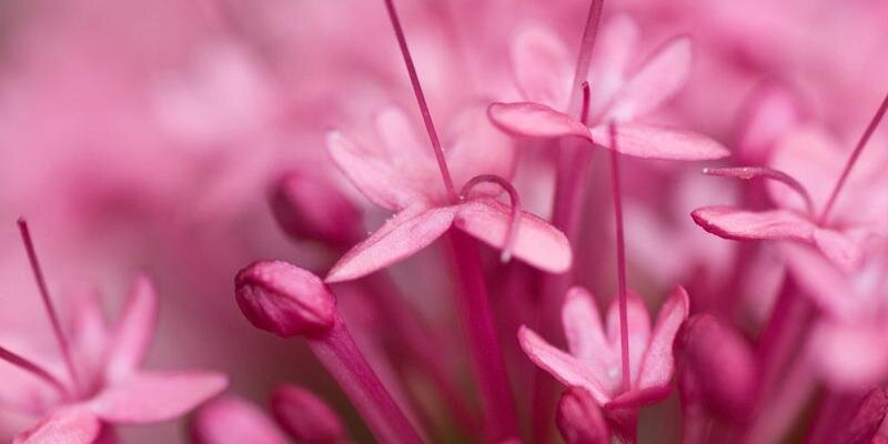 andinamanik's profile banner image
