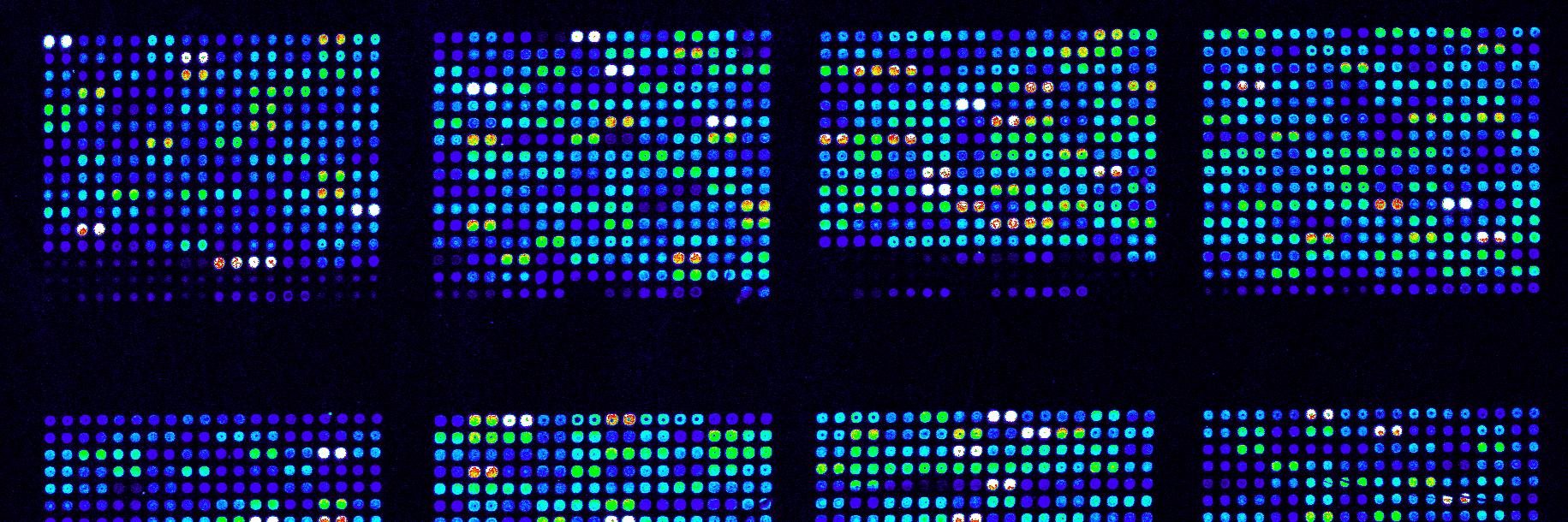 Innogen Institute banner