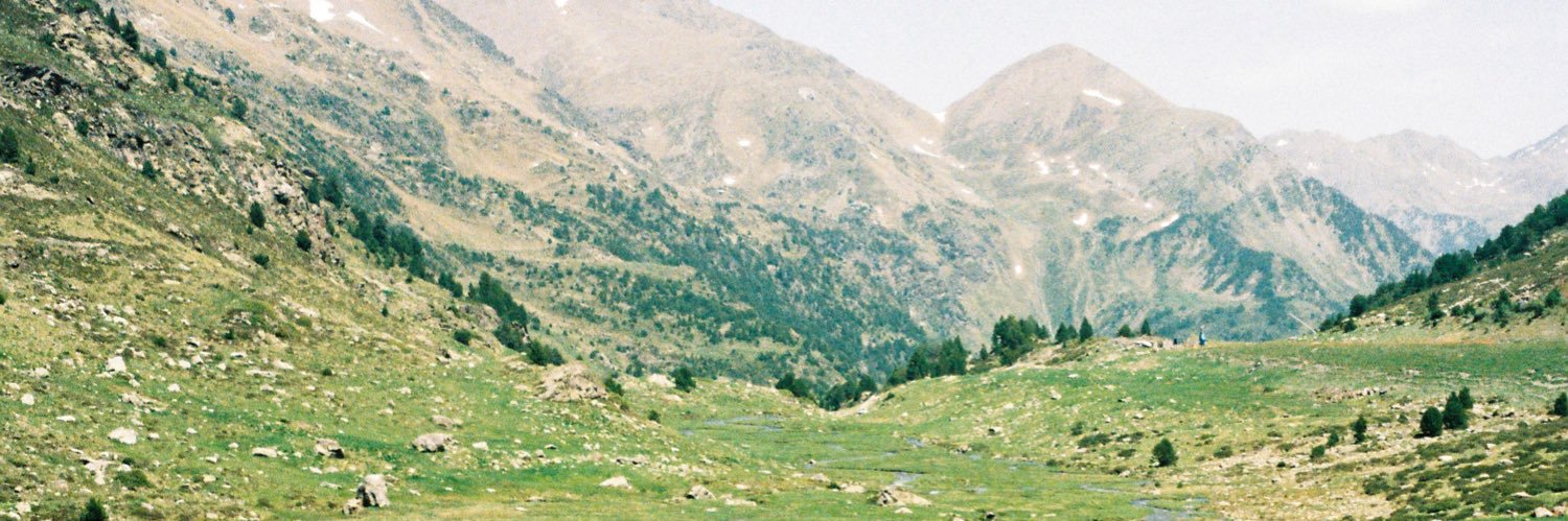 Siena Swift banner