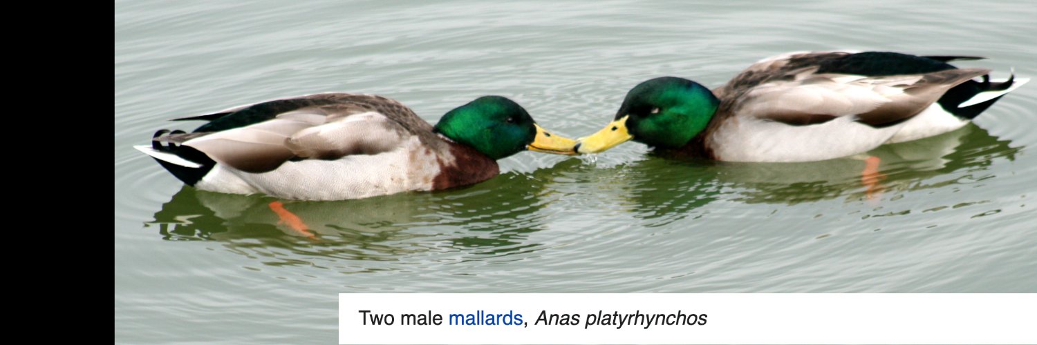 uh oh! a tweet by jasper banner