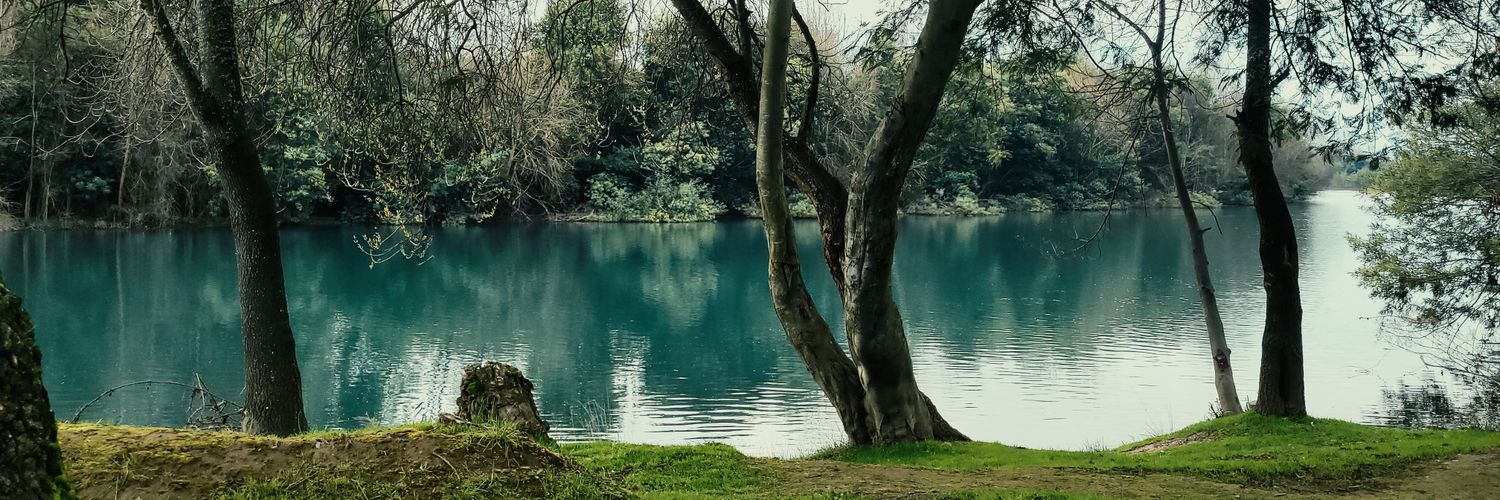 javierriver80's profile banner image
