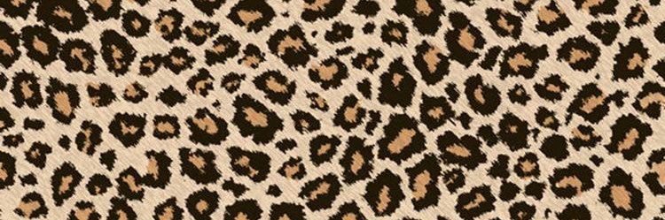 hellotomato123's profile banner image