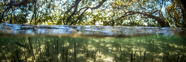 globalwetlands Profile Banner