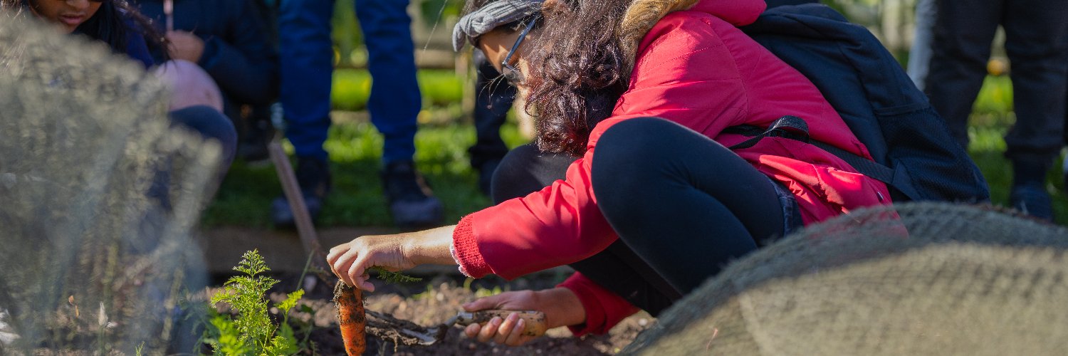 Country Trust banner