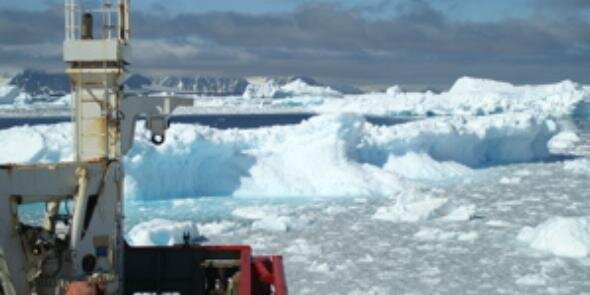 Emily Shuckburgh banner
