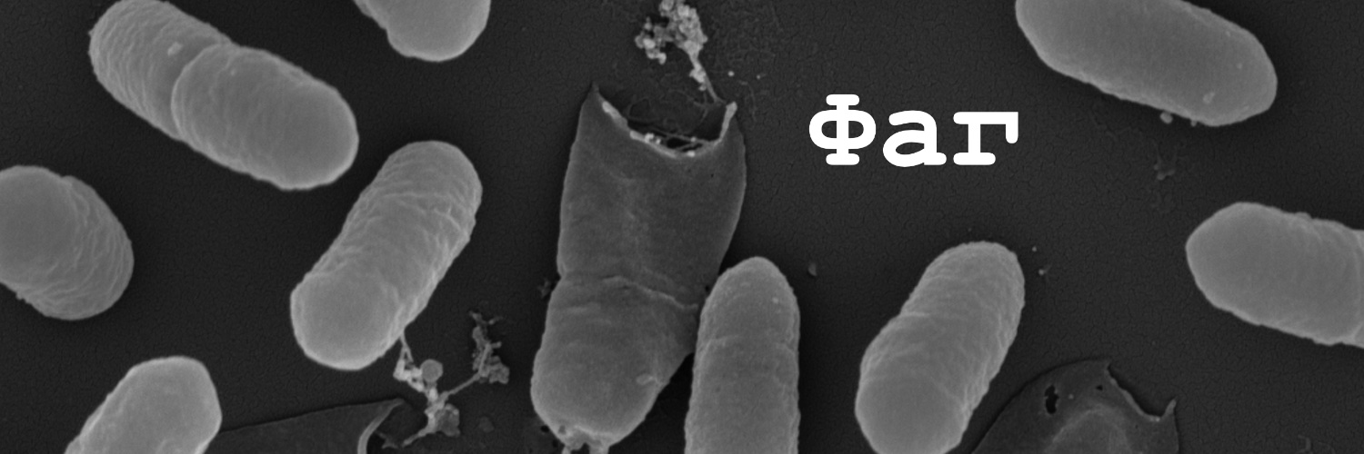Molecular Microbiology's banner