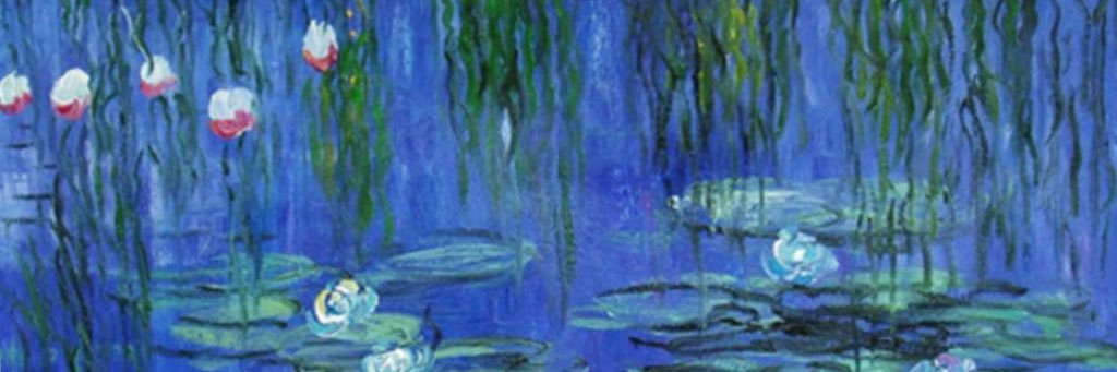 sue lough 🌊 banner