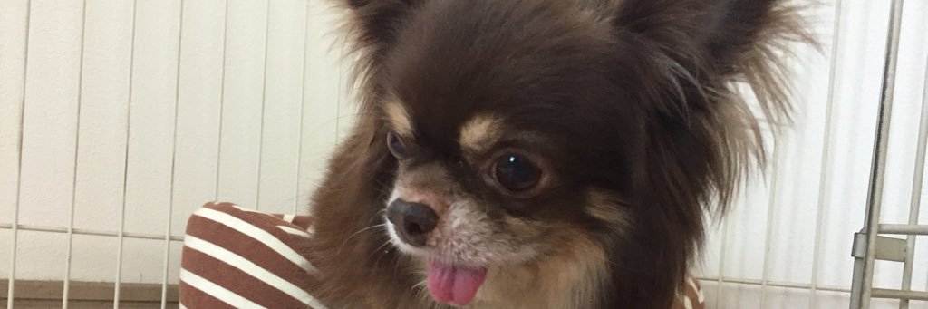 kattsuw's profile banner image