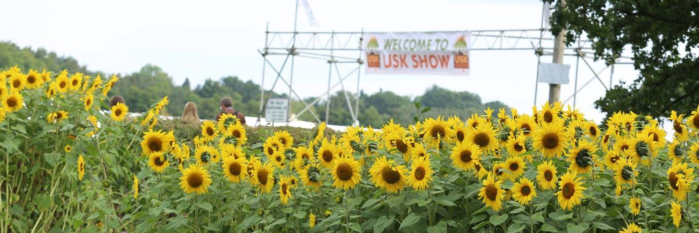 Usk Show banner