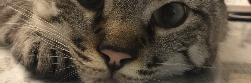 24maaribel's profile banner image