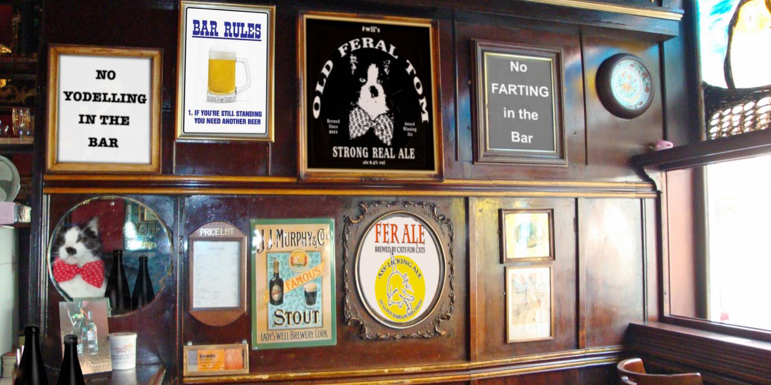 The Cat & Trumpet banner