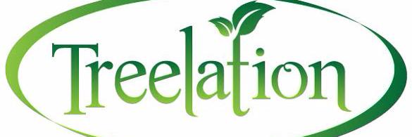 treelation's profile banner image