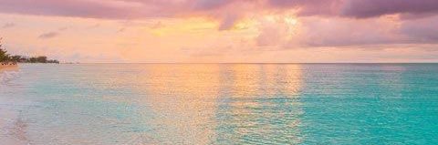 biubiuvvv's profile banner image