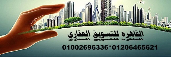 cairoakar's profile banner image