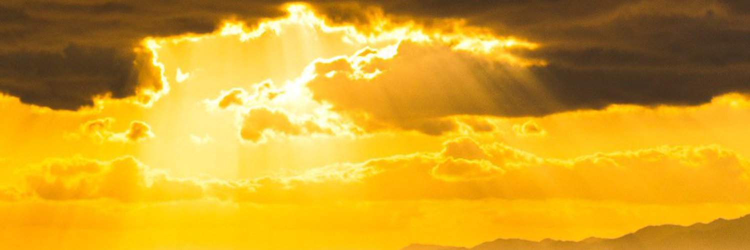 Merry58032849's profile banner image
