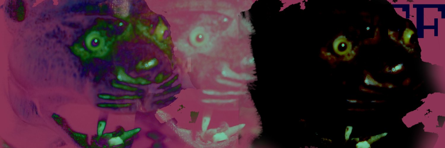 General HAHEN banner