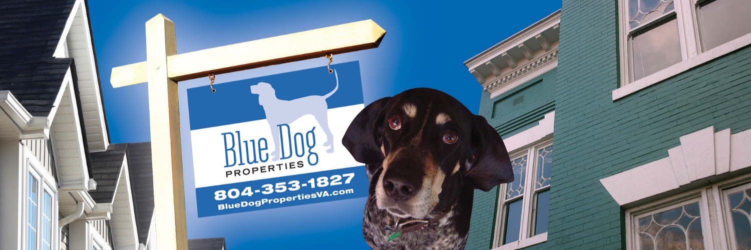 bluedogVA's profile banner image