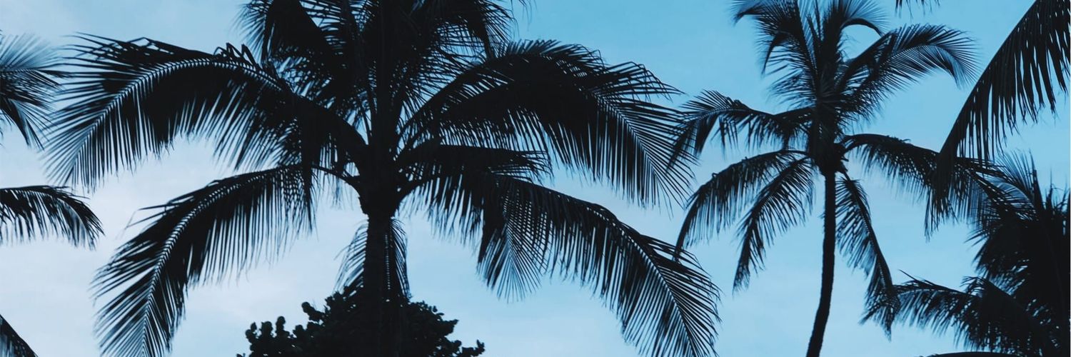 azulsiragusa's profile banner image