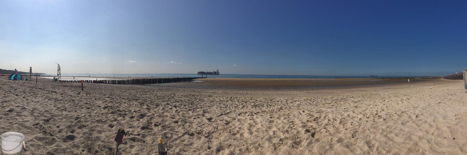 Georg Busch • BW banner