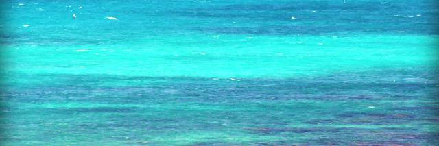 pearson_arlene's profile banner image